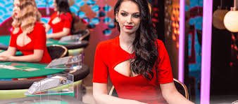 116bet vip