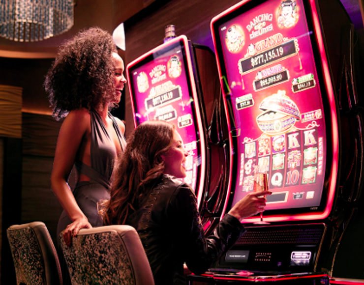 116bet vip